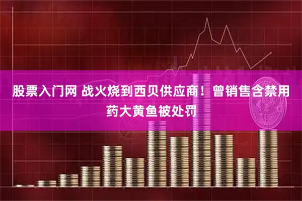 股票入门网 战火烧到西贝供应商！曾销售含禁用药大黄鱼被处罚