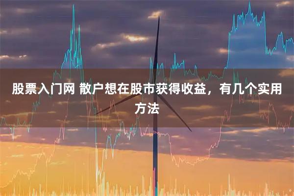 股票入门网 散户想在股市获得收益,有几个实用方法