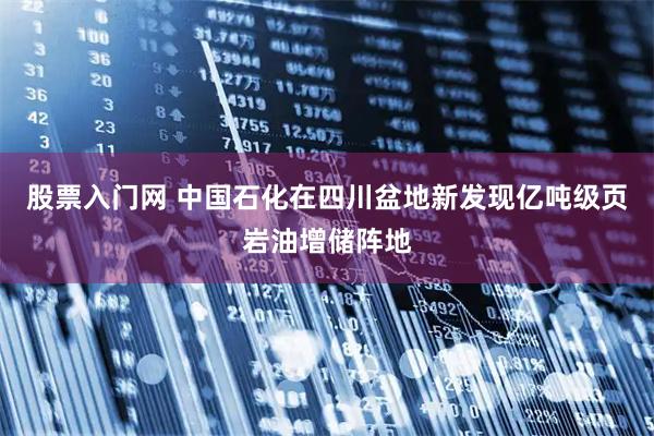 股票入门网 中国石化在四川盆地新发现亿吨级页岩油增储阵地